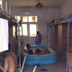 Illustration for article titled Every Dorm Room Should Come With an Inflatable Pool